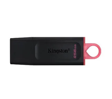 KINGSTON 256GB USB3.2 Gen1 DT Bk+Pink - Umag