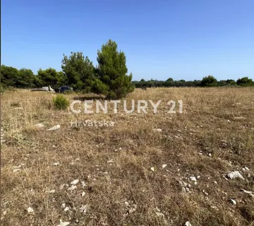 Poljoprivredno zemljište Vir 500m2 - cover