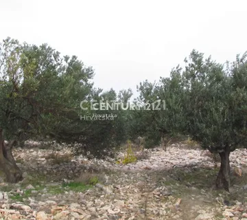 Prodaja, Zemljište, Poljoprivredna površina, Šibensko-kninska županija, Rogoznica, Dvornica - cover