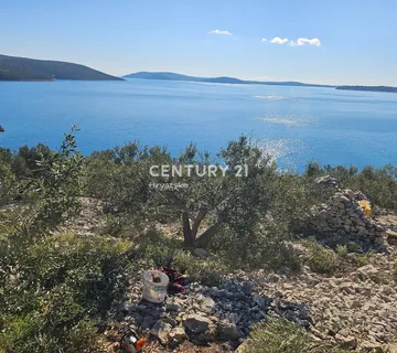 Rijetkost! Maslinik na moru – prvi red, Vinišće - Marina