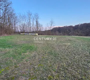Zemljište u Vinogradima Ludbreškim, 22.839 m2 do asfalta - Vinogradi Ludbreški, Ludbreg