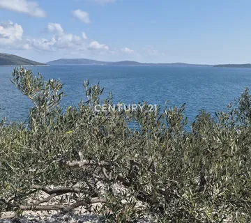 Rijetkost! Maslinik na moru – prvi red, Vinišće - cover