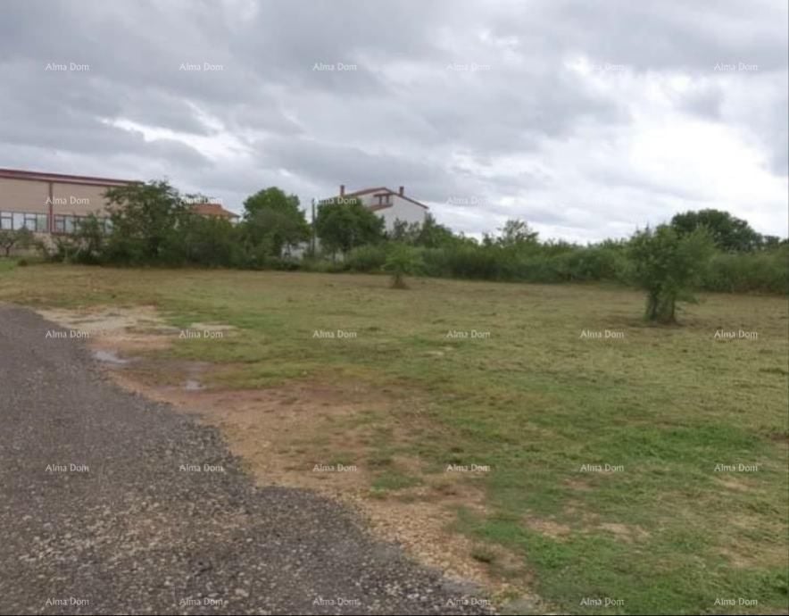 Fotografija