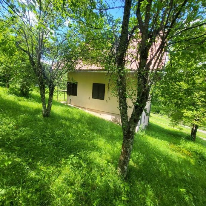 Fotografija