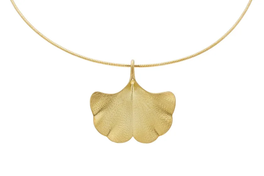 Ginko omega + privjesak - cover