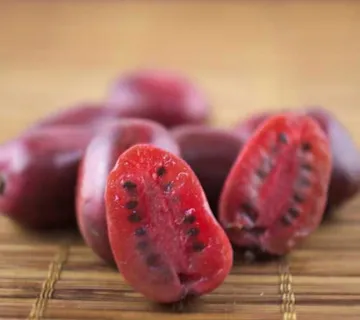 KIWI ARG. “Ken’s Red” - cover