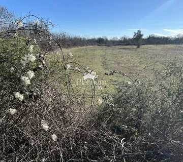 Istra,okolica Juršića, lijepo poljoprivredno zemljište - cover