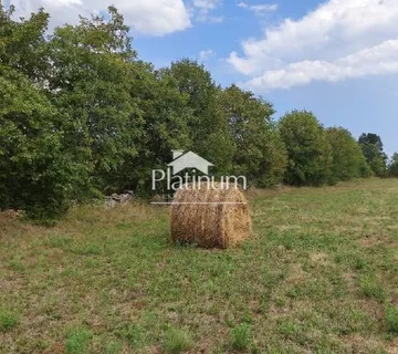 Istra, Filipana, Zemljište građevinsko poljoprivredno, 9970 m2, - cover