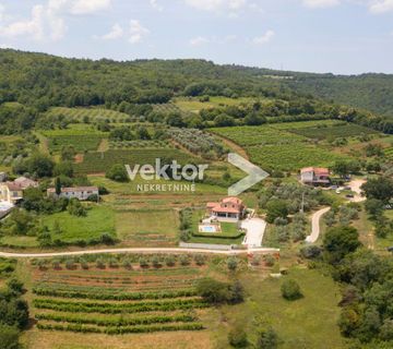 Zemljište s pogledom na Motovun - cover