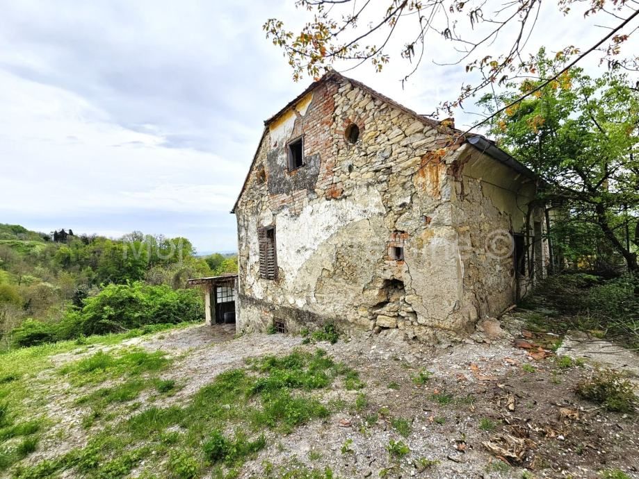 Fotografija