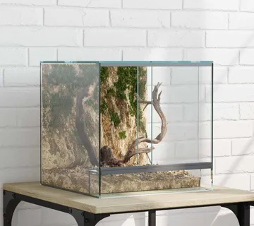 vidaXL Terarij s pohranom *Transparent*an 30 x 30 x 30 cm Stakl - Venlo