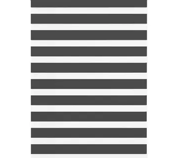vidaXL Zavjesa zebra crna 100x100 cm širina tkanine 95,9 cm poliester - Venlo