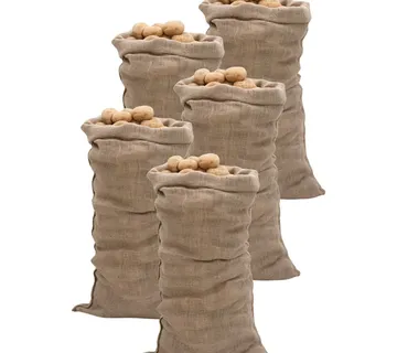 vidaXL Jutene vreće 5 kom 65 x 135 cm 100 % juta 220 g/m² - Venlo