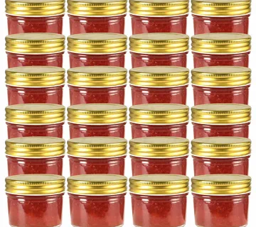vidaXL Staklenke za džem sa zlatnim poklopcima 24 kom 110 ml - Venlo