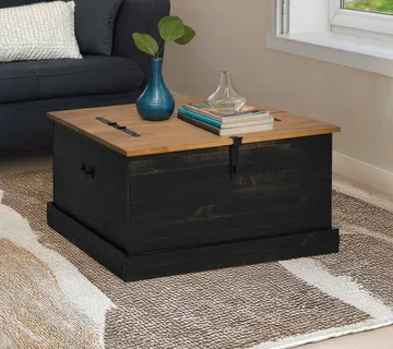 vidaXL Škrinja za pohranu HALDEN crna 91x91x47 cm puno drvo bor - Venlo