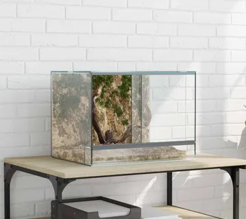vidaXL Terarij s pohranom *Transparent*an 40 x 30 x 30 cm Stakl - Venlo