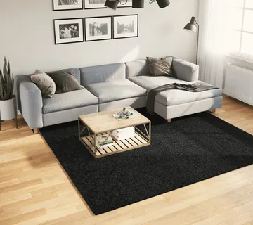 vidaXL Tepih OVIEDO kratkih vlakana crni 240 x 240 cm - Venlo