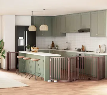 vidaXL Vrata za pse s vratašcima 8 panela sklopiva 640 cm drvo topole - Venlo