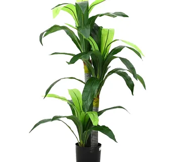 vidaXL Umjetno stablo Dracaena 36 listova 120 cm zeleno - Venlo