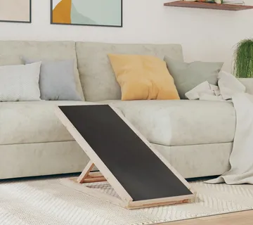 vidaXL Rampa za pse siva 100 x 40 cm od masivne jelovine - Venlo