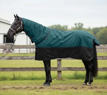 vidaXL Pokrivač za konje Tamno zelena i crna 135 cm Poliester - Venlo