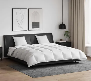 vidaXL Set deka s jastukom 3 kom. Bijelo Perje - Venlo
