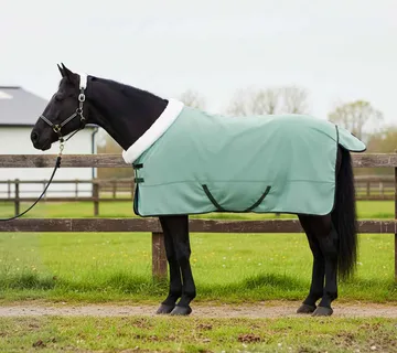 vidaXL Pokrivač za konje Specijalna zelena 145 cm Polartec - Venlo