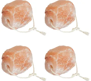 vidaXL Stijene za Licking Soli 4 kom. Ružičasta Soli od kamena - Venlo