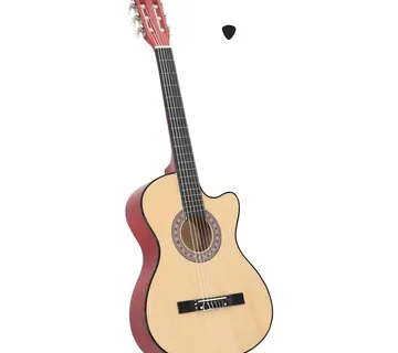 vidaXL Akustična gitara Western s prorezom i 6 žica 38 " od drva lipe - Venlo