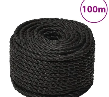 vidaXL Radno uže crno 12 mm 100 m od polipropilena - Venlo