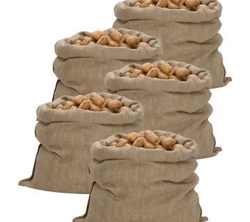 vidaXL Jutene vreće 5 kom 100 x 110 cm 100 % juta 340 g/m² - Venlo