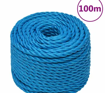 vidaXL Radno uže plavi 20 mm 100 m od polipropilena - Venlo