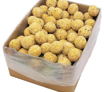 vidaXL Lojne kuglice za ptice 200 kom 90 g - Venlo