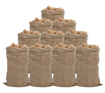 vidaXL Jutene vreće 10 kom 65 x 135 cm 100% juta 340 g/m² - Venlo