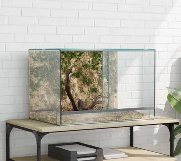 vidaXL Terarij s pohranom *Transparent*an 60 x 40 x 40 cm Stakl - Venlo