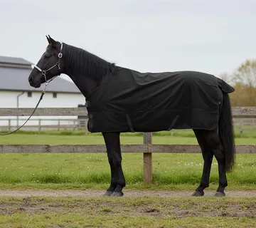 vidaXL Pokrivač za konje Potpuno crna 155 cm Poliester - Venlo