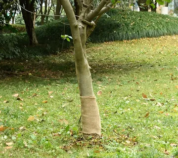 vidaXL Rola jute 0,25x50 m 100 % juta 200 g/m² - Venlo