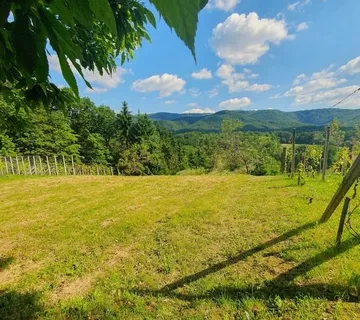Vinograd: Kraljev Vrh, 600m2, za postavu klijeti, uzgoj ili pčelarstvo - Kraljev Vrh, Jakovlje