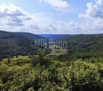 ISTRA, TINJAN, građevinsko zemljište 1750m2 - cover