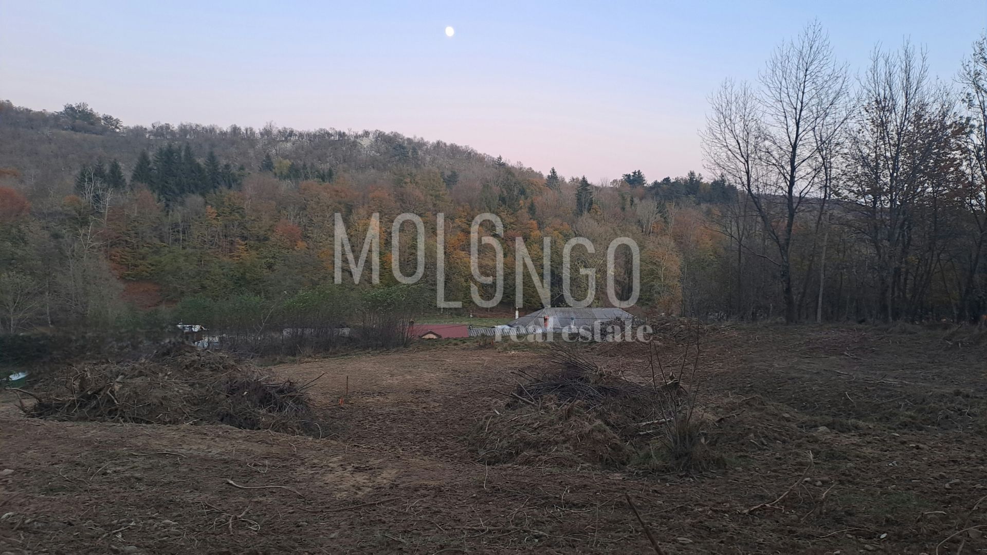 Fotografija