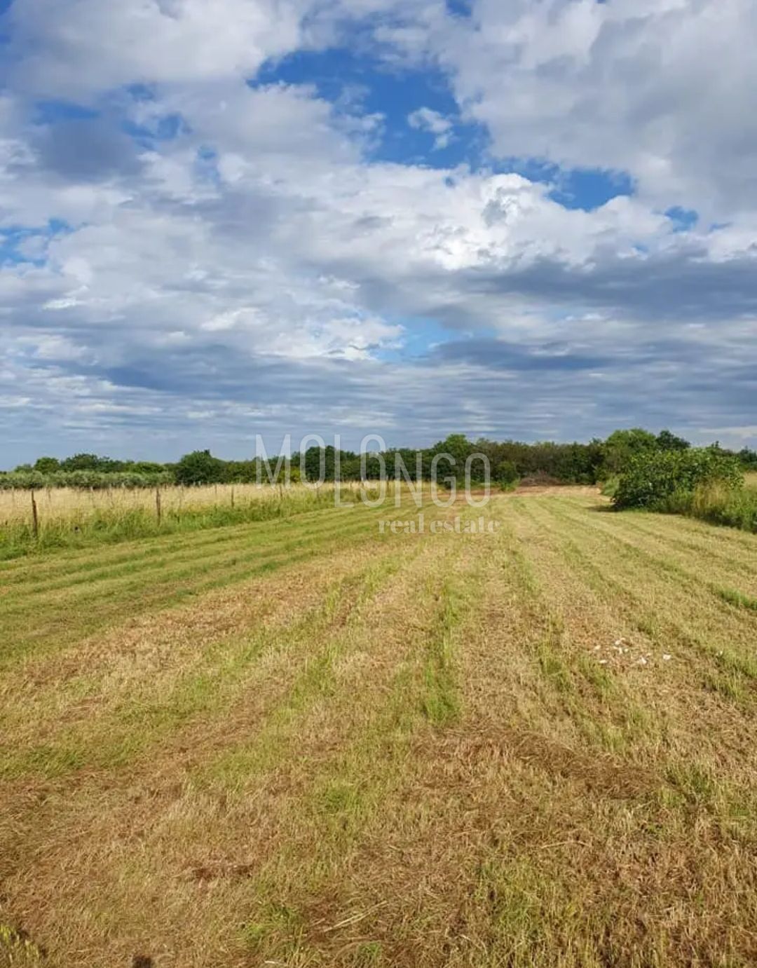 Fotografija