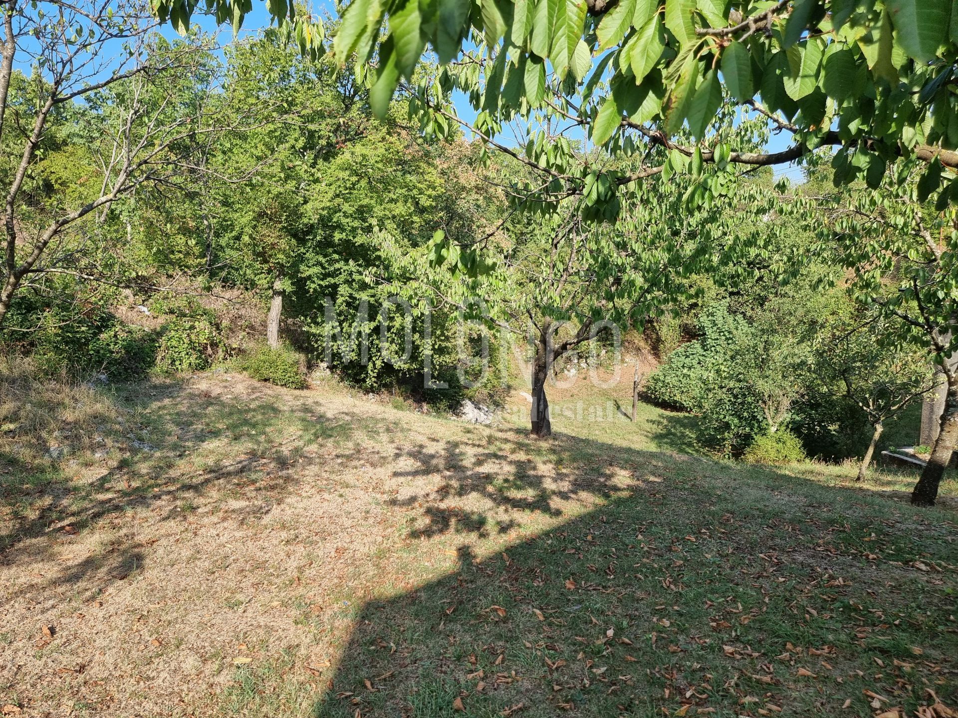 Fotografija