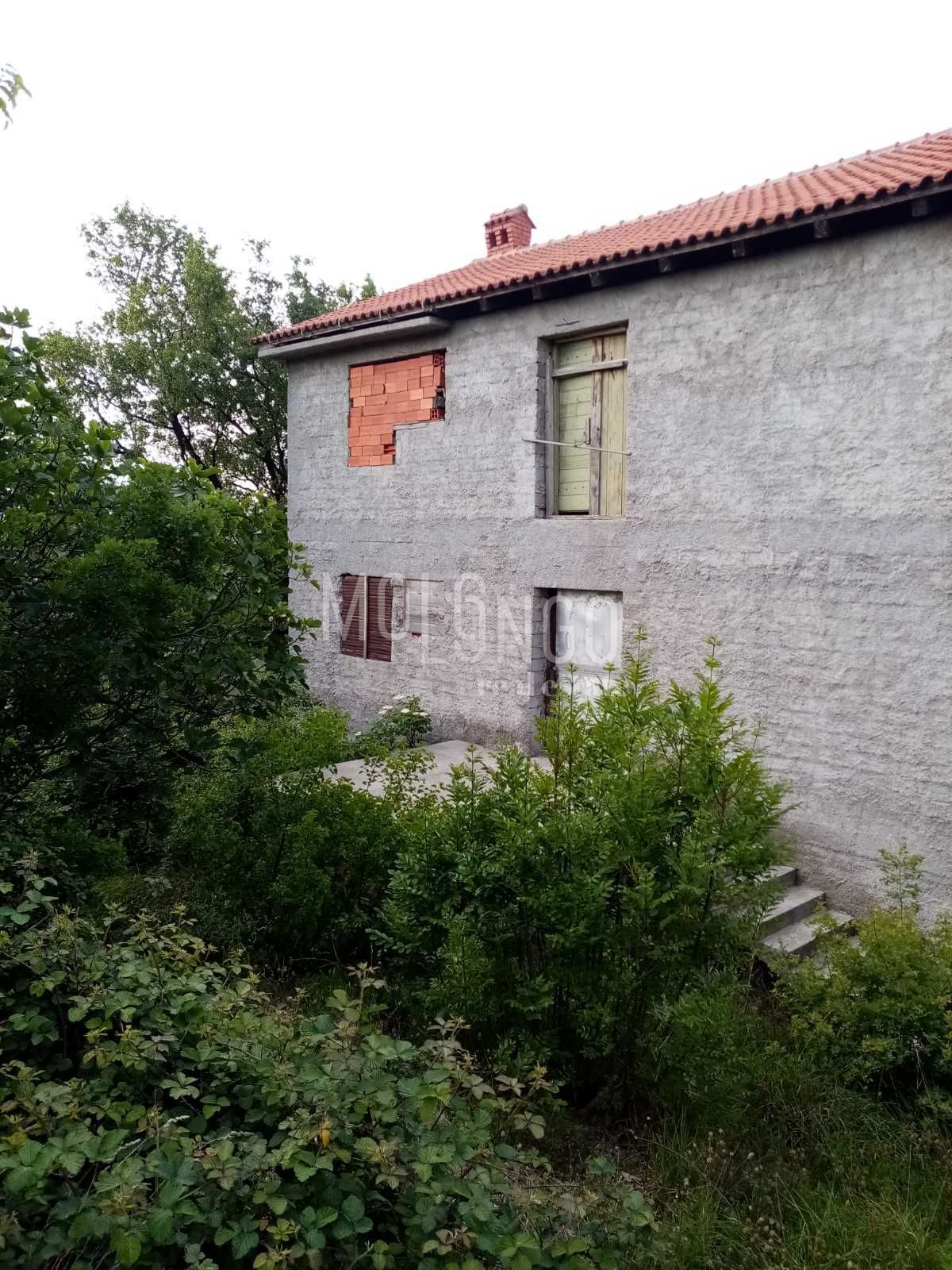 Fotografija