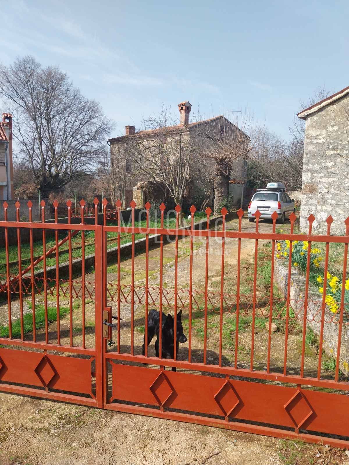 Fotografija