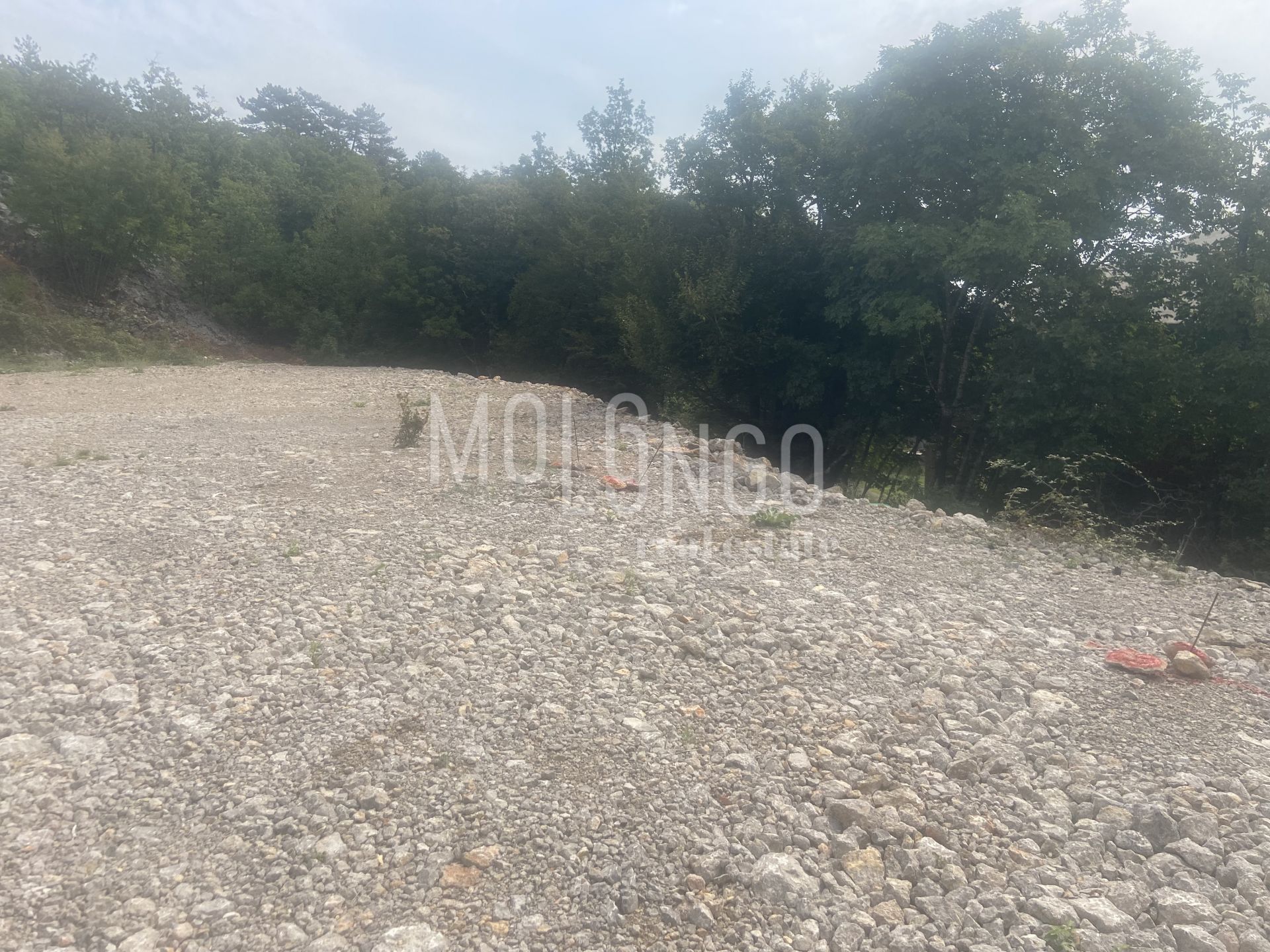 Fotografija