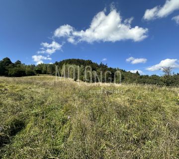 GORSKI KOTAR LOKVE, građevinsko zemljište od 10251m2 - cover