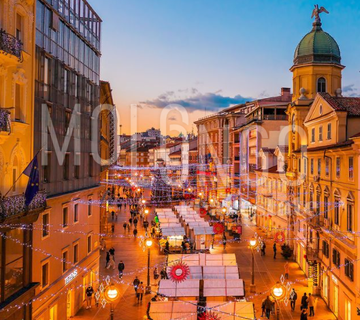 RIJEKA CENTAR, idealan stan za poslovnu namjenu - cover