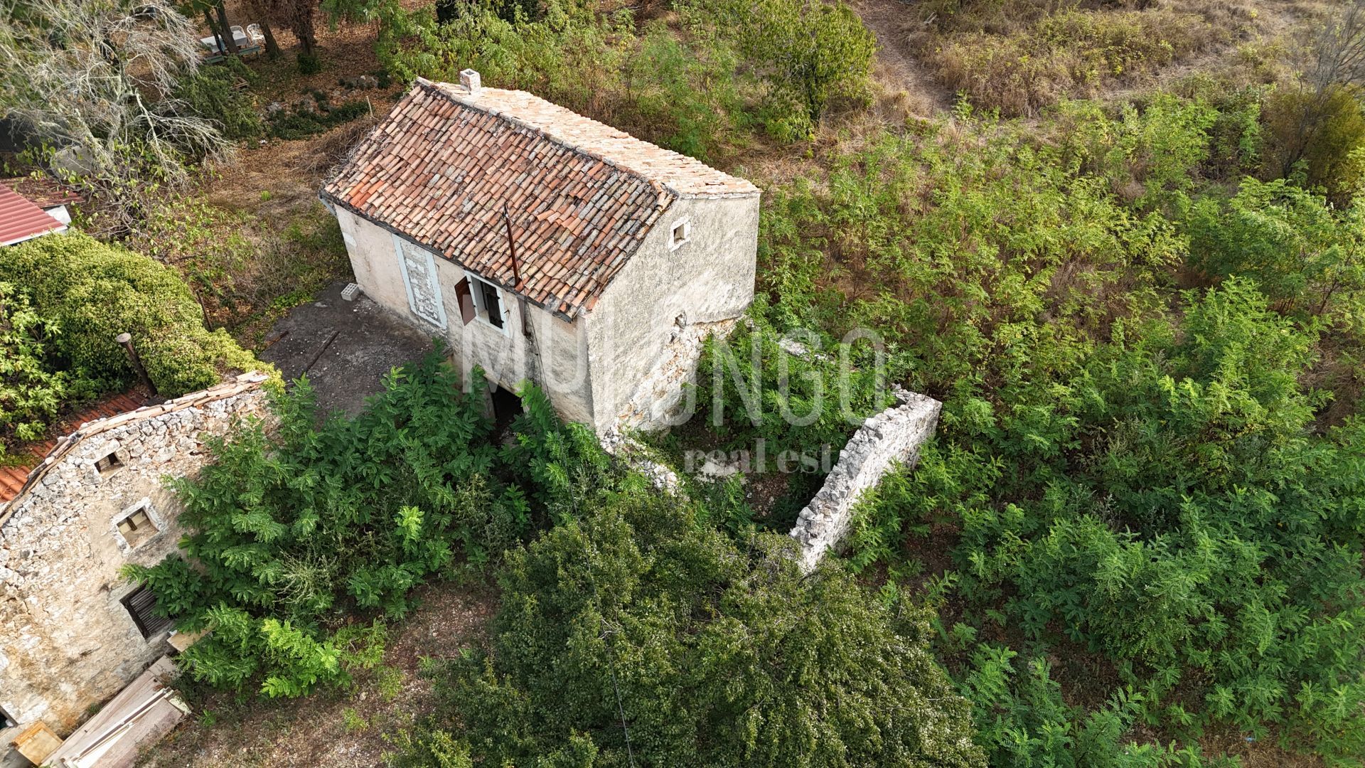 Fotografija