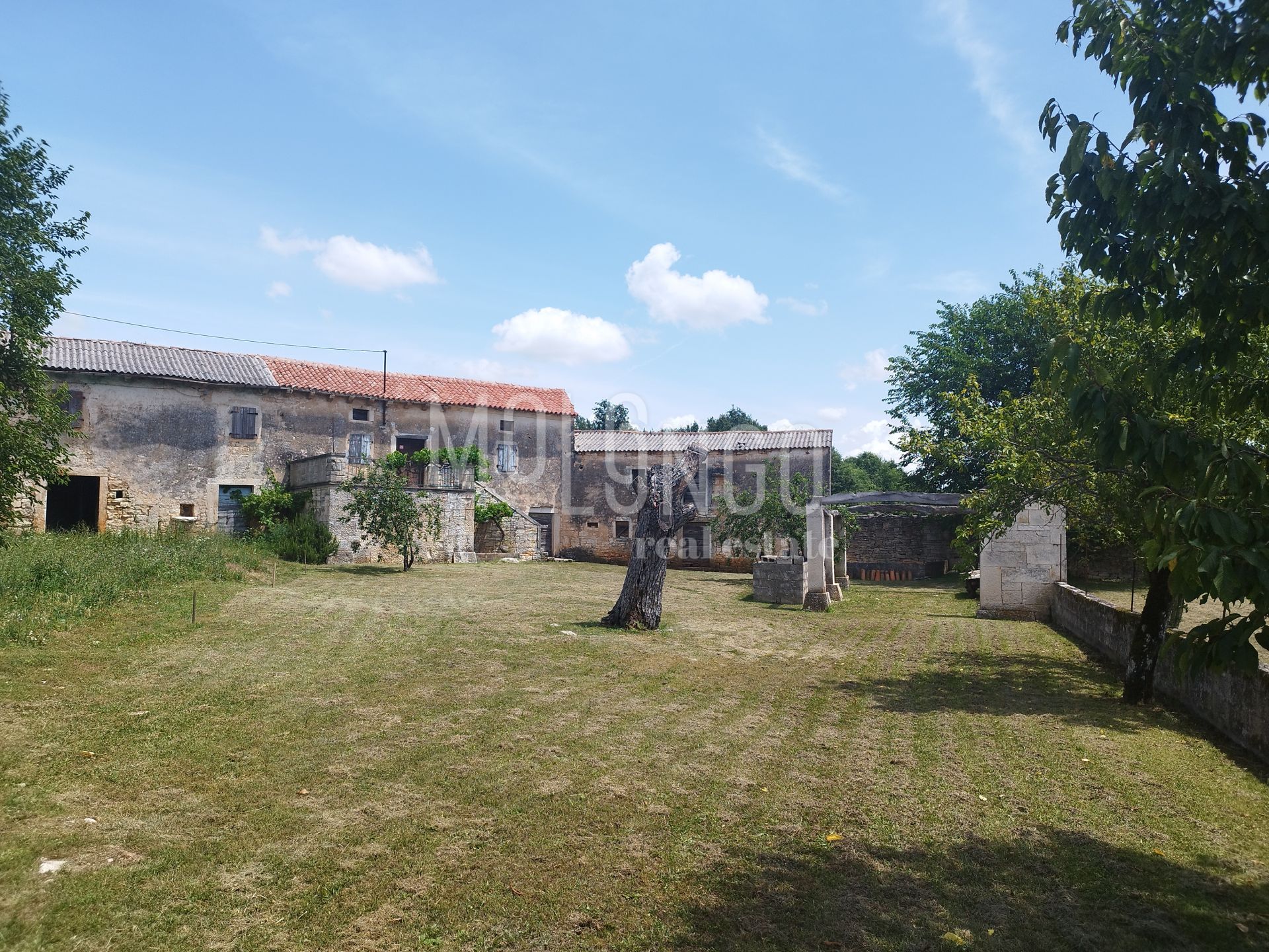 Fotografija