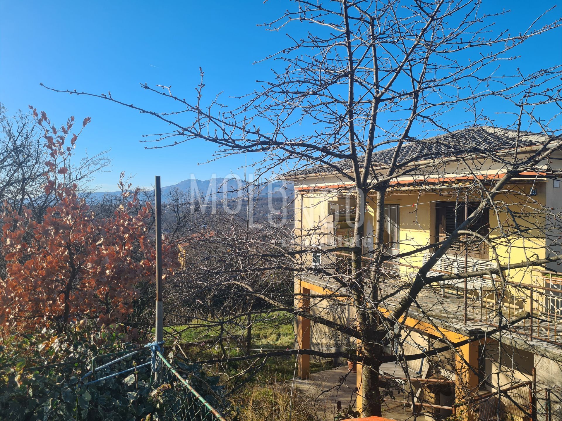 Fotografija